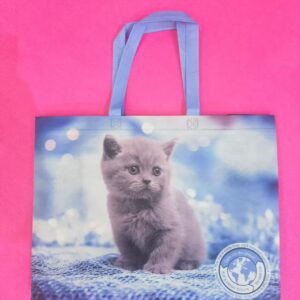 Christmas RPET nonwoven bags in stock